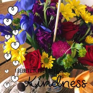 Meet your Posher, Tina